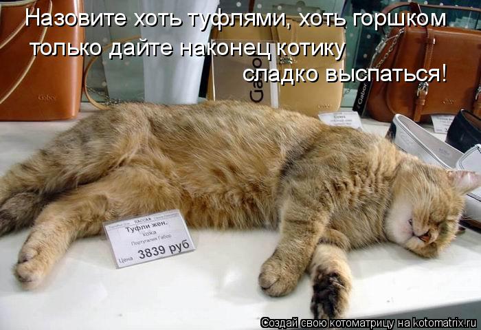 Назовите хоть туфлями, хоть горшком только дайте наконец котику сладко выспаться!... Котоматрица: Назовите хоть туфлями, хоть горшком только дайте наконец котику сладко выспаться!