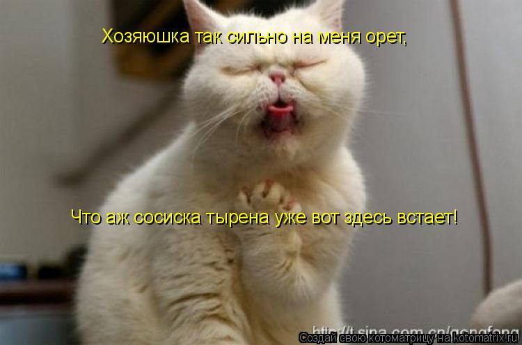 Хозяюшка так сильно на меня орет, Что аж сосиска тырена уже вот здесь встает!... Котоматрица: Хозяюшка так сильно на меня орет, Что аж сосиска тырена уже вот здесь встает!