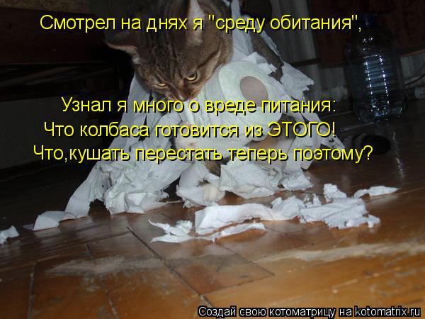 Смотрел на днях я "среду обитания", Узнал я много о вреде питания: Что колбаса готовится из ЭТОГО! Чт... Котоматрица: Смотрел на днях я "среду обитания", Узнал я много о вреде питания: Что колбаса готовится из ЭТОГО! Что,кушать перестать теперь поэтому?