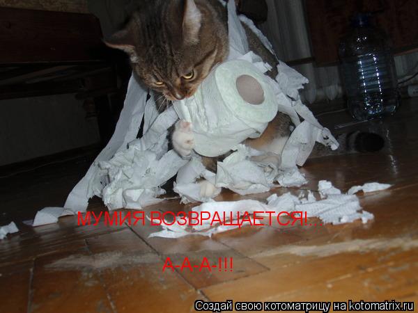 МУМИЯ ВОЗВРАЩАЕТСЯ!... А-А-А-!!!... Котоматрица: МУМИЯ ВОЗВРАЩАЕТСЯ!... А-А-А-!!!
