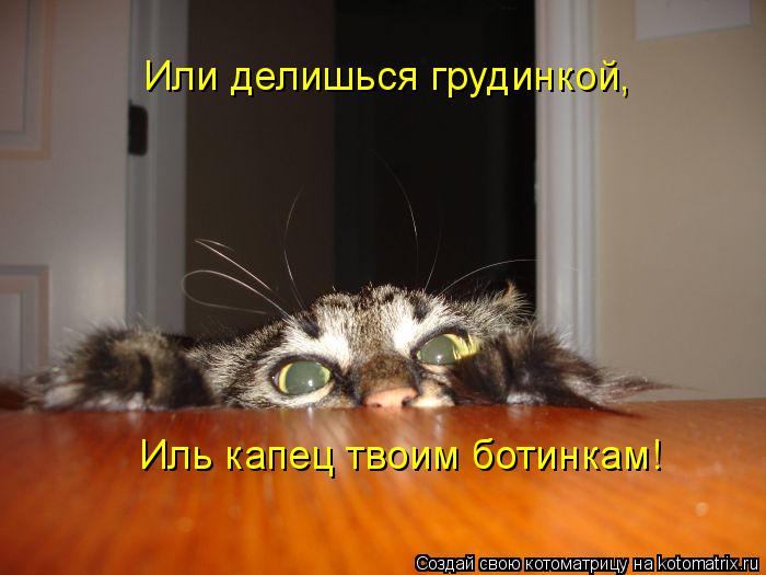 Или делишься грудинкой, Иль капец твоим ботинкам!... Котоматрица: Или делишься грудинкой, Иль капец твоим ботинкам!
