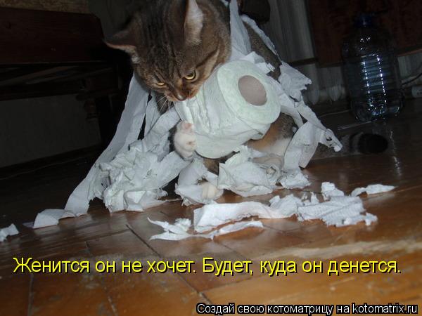 Женится он не хочет. Будет, куда он денется.... Котоматрица: Женится он не хочет. Будет, куда он денется.