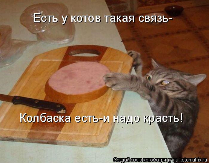 Есть у котов такая связь- Колбаска есть-и надо красть!... Котоматрица: Есть у котов такая связь- Колбаска есть-и надо красть!