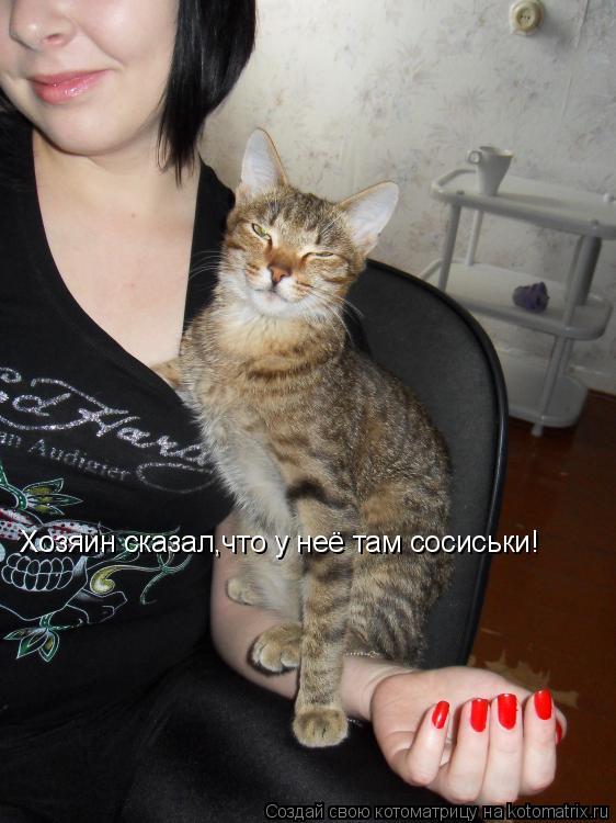 Хозяин сказал,что у неё там сосиськи!... Котоматрица: Хозяин сказал,что у неё там сосиськи!