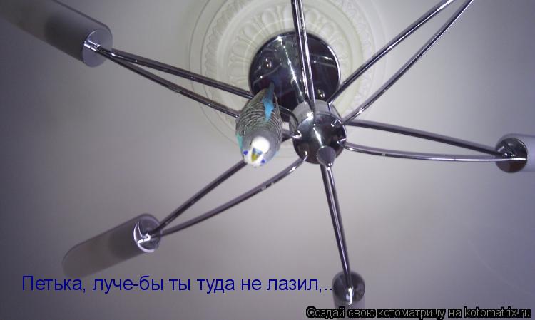 Петька, луче-бы ты туда не лазил,..... Котоматрица: Петька, луче-бы ты туда не лазил,..
