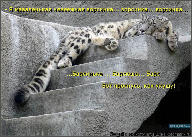 - Я маааленькая неееежная ворсинка... ворсинка... ворсинка... ...Барсинька ... Барсюша... Барс Вот пр... Котоматрица: - Я маааленькая неееежная ворсинка... ворсинка... ворсинка... ...Барсинька ... Барсюша... Барс Вот проснусь, как укушу!