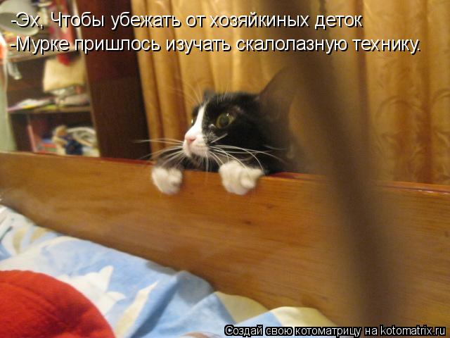 -Эх, Чтобы убежать от хозяйкиных деток -Мурке пришлось изучать скалолазную технику.... Котоматрица: -Эх, Чтобы убежать от хозяйкиных деток -Мурке пришлось изучать скалолазную технику.