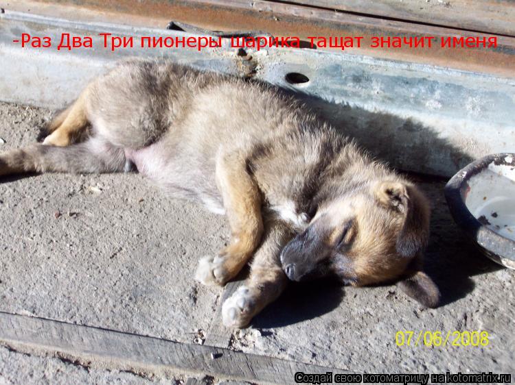 -Раз Два Три пионеры шарика тащат значит именя... Котоматрица: -Раз Два Три пионеры шарика тащат значит именя
