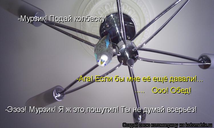 -Мурзик! Подай колбаску! -Ага! Если бы мне её ещё давали!... Ооо! Обед! -Ээээ! Мурзик! Я ж это,пошути... Котоматрица: -Мурзик! Подай колбаску! -Ага! Если бы мне её ещё давали!... Ооо! Обед! -Ээээ! Мурзик! Я ж это,пошутил! Ты не думай всерьёз! .....