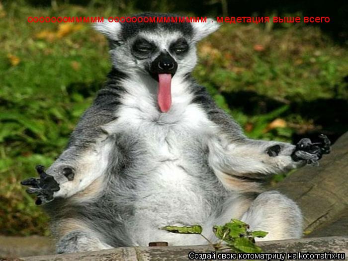 оооооооммммм ооооооомммммммм . медетация выше всего... Котоматрица: оооооооммммм ооооооомммммммм . медетация выше всего