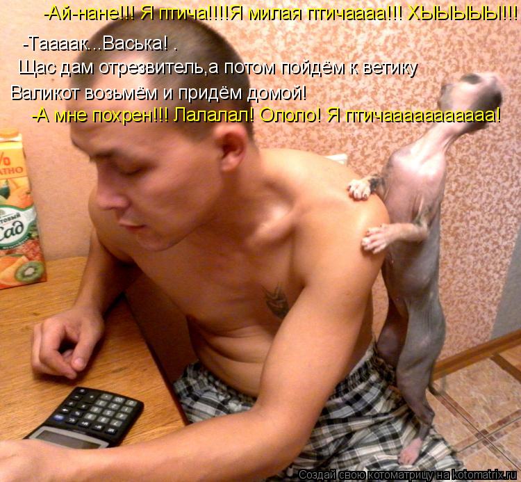 -Ай-нане!!! Я птича!!!!Я милая птичаааа!!! ХЫЫЫЫЫ!!! -Таааак...Васька! . Щас дам отрезвитель,а потом ... Котоматрица: -Ай-нане!!! Я птича!!!!Я милая птичаааа!!! ХЫЫЫЫЫ!!! -Таааак...Васька! . Щас дам отрезвитель,а потом пойдём к ветику Валикот возьмём и придём домой!