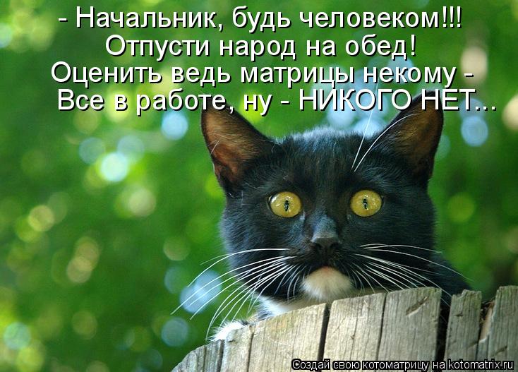 - Начальник, будь человеком!!! Отпусти народ на обед! Оценить ведь матрицы некому - Все в работе, н... Котоматрица: - Начальник, будь человеком!!! Отпусти народ на обед! Оценить ведь матрицы некому - Все в работе, ну - НИКОГО НЕТ...