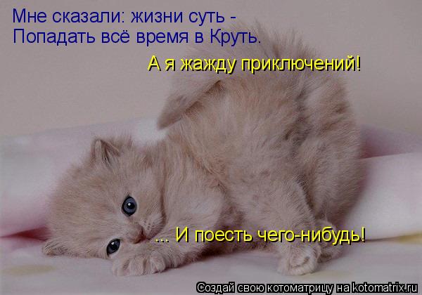 Котоматрица: Мне сказали: жизни суть - Попадать всё время в Круть. А я жажду приключений! ... И поесть чего-нибудь!