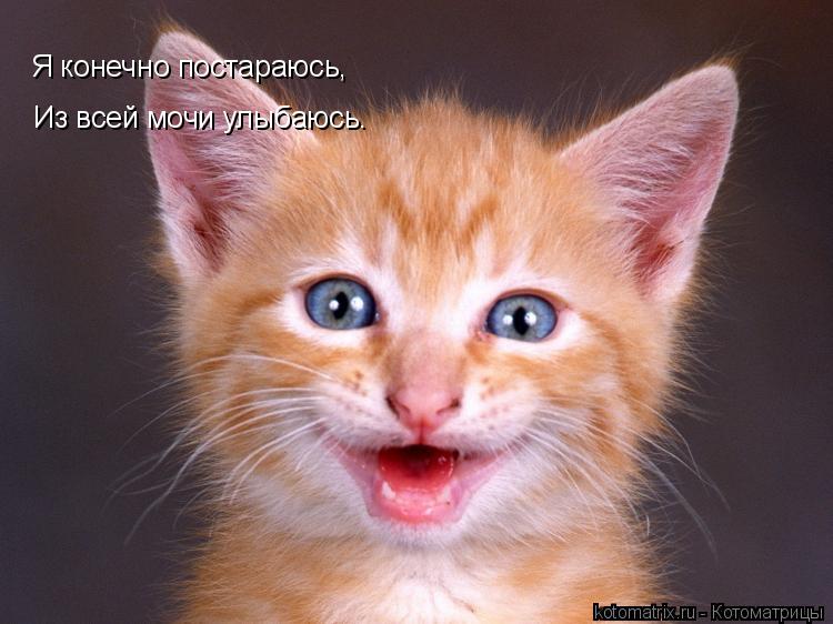 Я конечно постараюсь, Из всей мочи улыбаюсь.... Котоматрица: Я конечно постараюсь, Из всей мочи улыбаюсь.