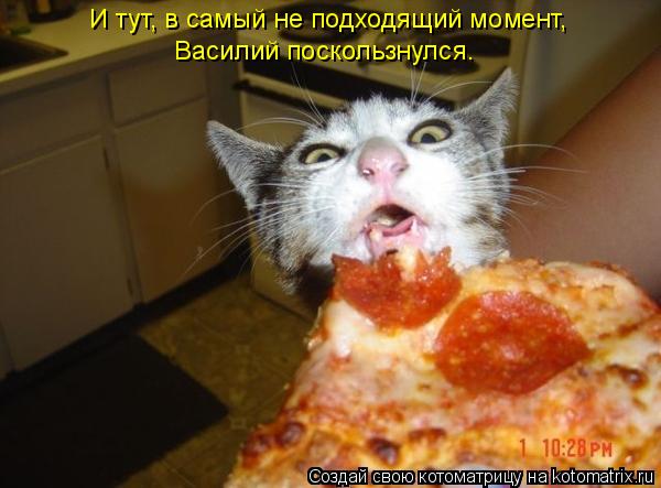 И тут, в самый не подходящий момент, Василий поскользнулся.... Котоматрица: И тут, в самый не подходящий момент, Василий поскользнулся.