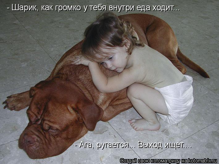 Котоматрица: - Шарик, как громко у тебя внутри еда ходит... - Ага, ругается... Выход ищет....