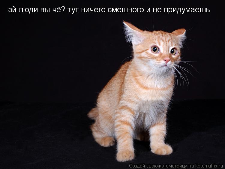 Котоматрица: эй люди вы чё? тут ничего смешного и не придумаешь