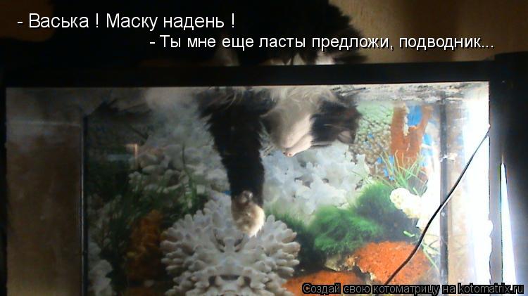 Котоматрица: - Васька ! Маску надень ! - Ты мне еще ласты предложи, подводник...