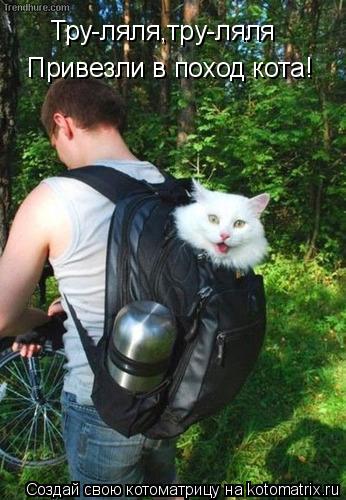 Котоматрица: Тру-ляля,тру-ляля Привезли в поход кота!