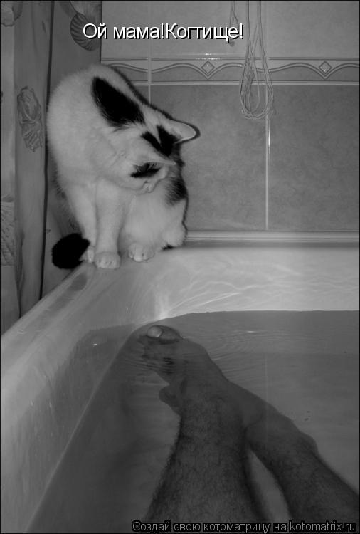Котоматрица: Ой мама!Когтище!