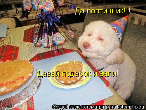 Котоматрица: Да полтинник!!! Давай подарок и вали!