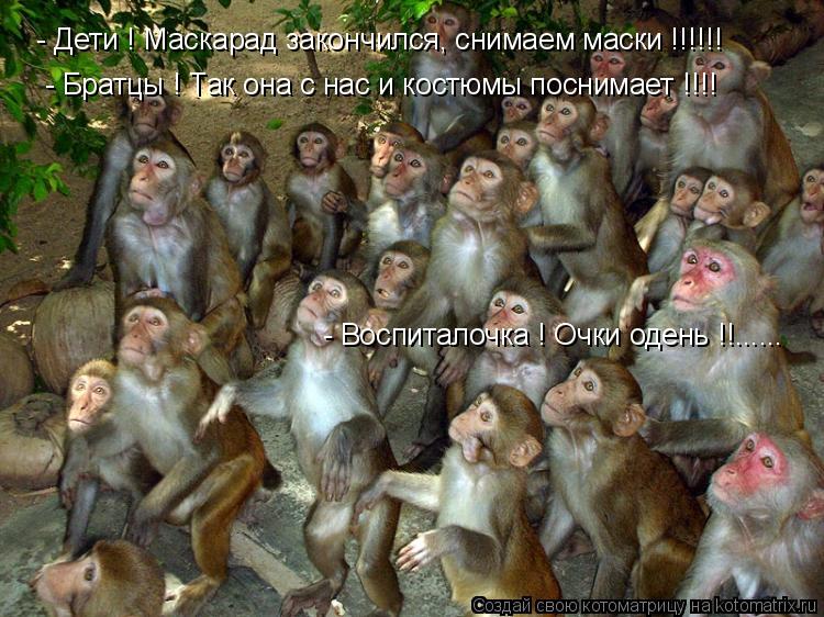 Котоматрица: - Дети ! Маскарад закончился, снимаем маски !!!!!! - Братцы ! Так она с нас и костюмы поснимает !!!! - Воспиталочка ! Очки одень !!......