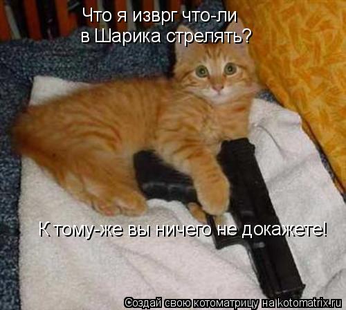 Котоматрица: Что я изврг что-ли  в Шарика стрелять? К тому-же вы ничего не докажете!