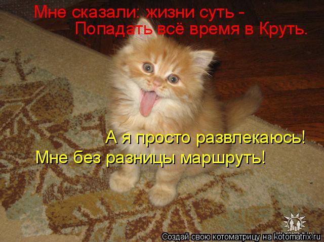 Котоматрица: Мне сказали: жизни суть - Попадать всё время в Круть. А я просто развлекаюсь! Мне без разницы маршруть!