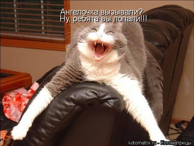 Котоматрица: Ангелочка вызывали? Ну, ребята вы попали!!!