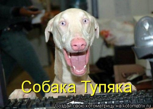 Котоматрица: Собака Тупяка