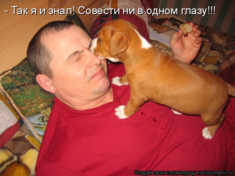 - Так я и знал! Совести ни в одном глазу!!!... Котоматрица: - Так я и знал! Совести ни в одном глазу!!!