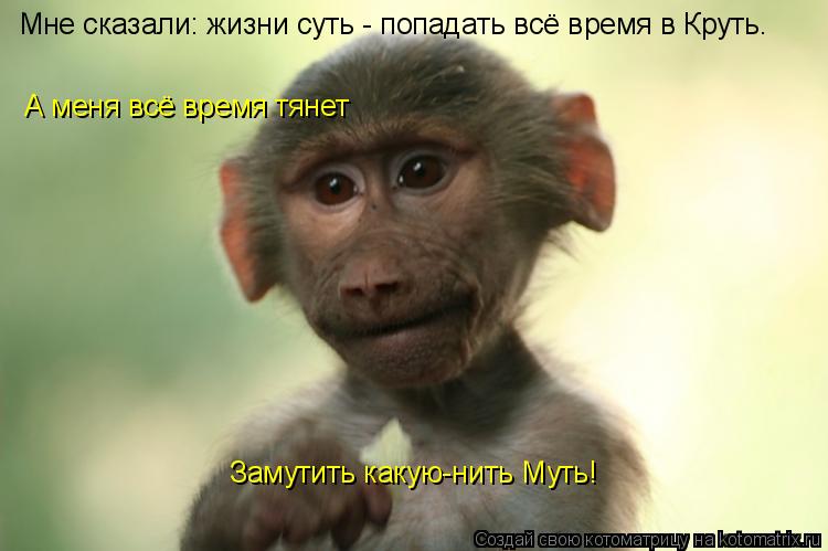 Котоматрица: Мне сказали: жизни суть - попадать всё время в Круть. А меня всё время тянет Замутить какую-нить Муть!