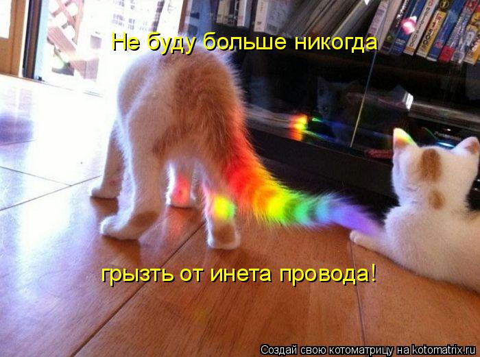 Котоматрица: Не буду больше никогда грызть от инета провода!