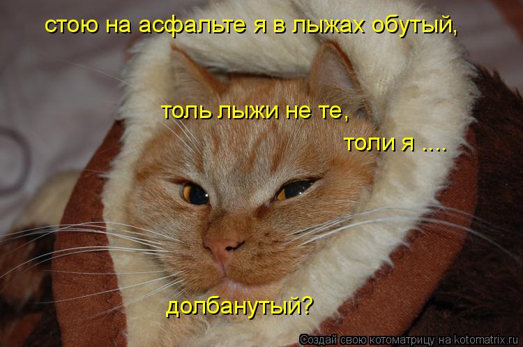 Котоматрица: стою на асфальте я в лыжах обутый, толь лыжи не те, толи я .... долбанутый?