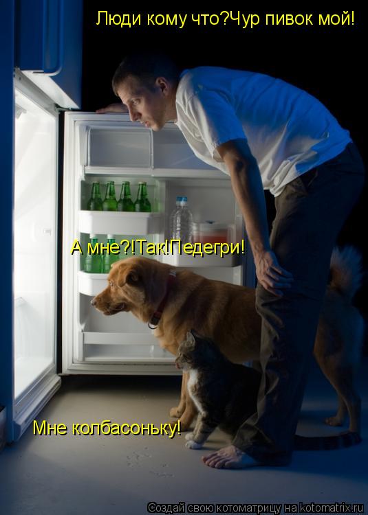 Котоматрица: Люди кому что?Чур пивок мой! Мне колбасоньку! А мне?!Так!Педегри!