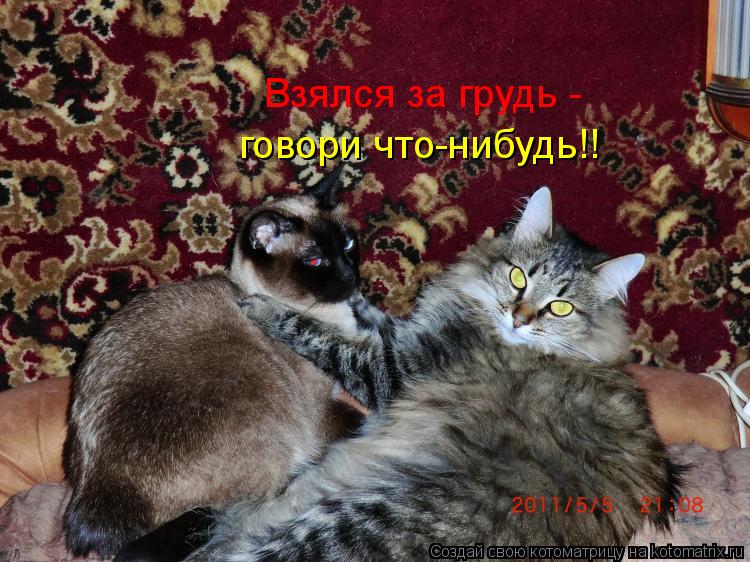 Котоматрица: Взялся за грудь - говори что-нибудь!!