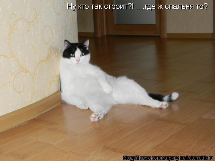 Котоматрица: Ну кто так строит?! ....где ж спальня то?