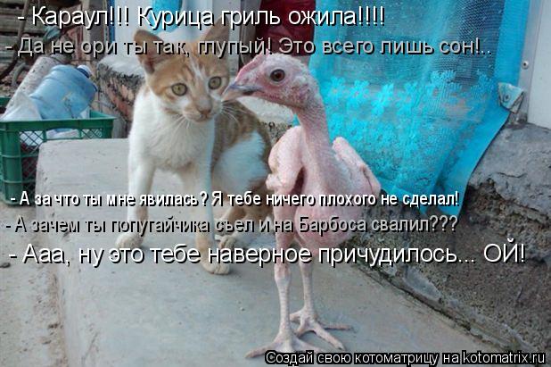 Котоматрица: - Караул!!! Курица гриль ожила!!!! - А за что ты мне явилась? Я тебе ничего плохого не сделал! - Да не ори ты так, глупый! Это всего лишь сон!.. - А з