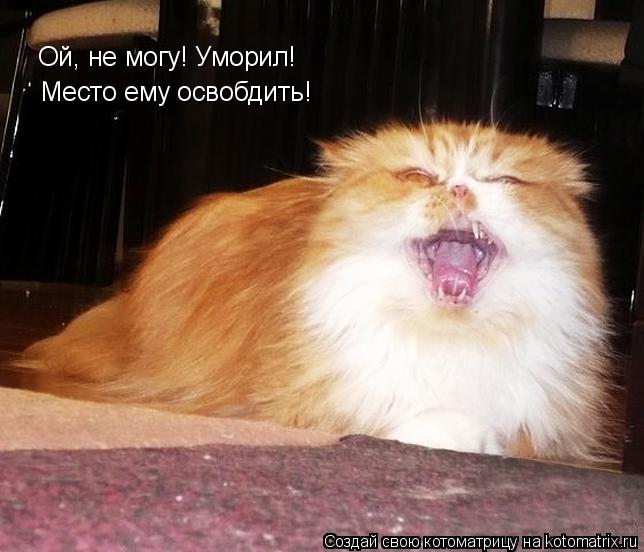 Котоматрица: Ой, не могу! Уморил! Место ему освобдить!