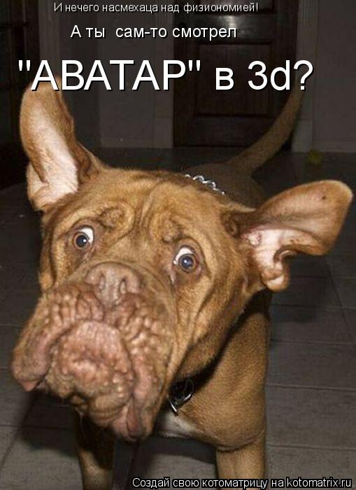 Котоматрица: А ты  сам-то смотрел "АВАТАР" в 3d? И нечего насмехаца над физиономией!