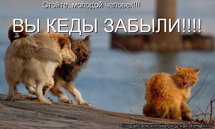 Котоматрица: Стойте, молодой человек!!! ВЫ КЕДЫ ЗАБЫЛИ!!!!
