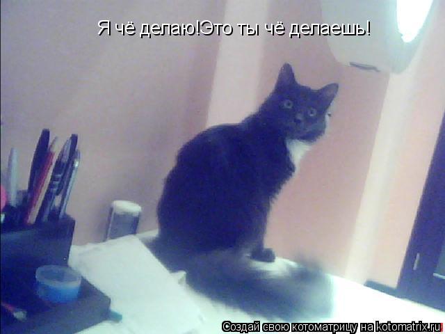 Котоматрица: Я чё делаю!Это ты чё делаешь!