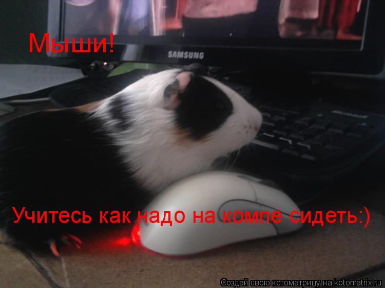 Котоматрица: Мыши! Учитесь как надо на компе сидеть:)