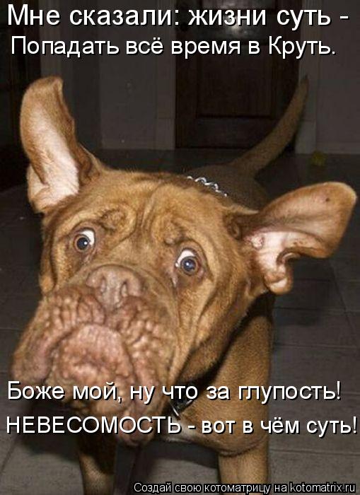 Котоматрица: Мне сказали: жизни суть -  Попадать всё время в Круть. Боже мой, ну что за глупость! НЕВЕСОМОСТЬ - вот в чём суть!