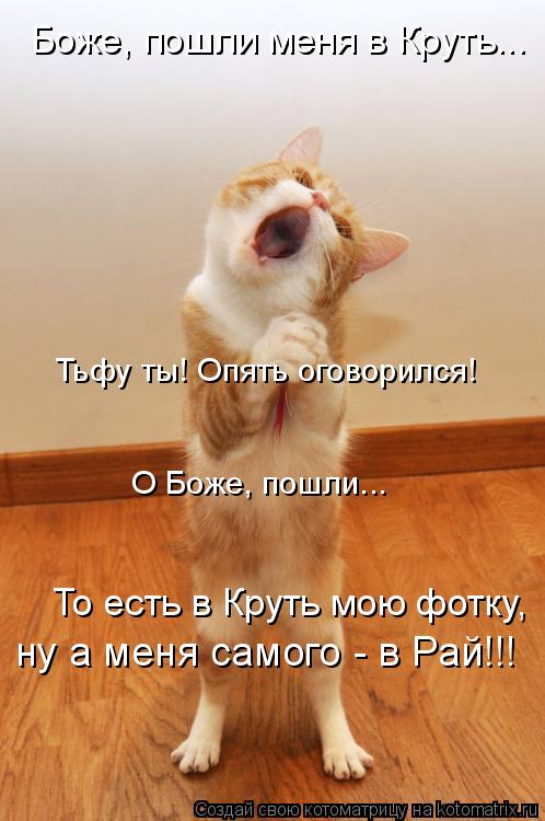 Котоматрица: Боже, пошли меня в Круть... То есть в Круть мою фотку,  ну а меня самого - в Рай!!! Тьфу ты! Опять оговорился! О Боже, пошли...