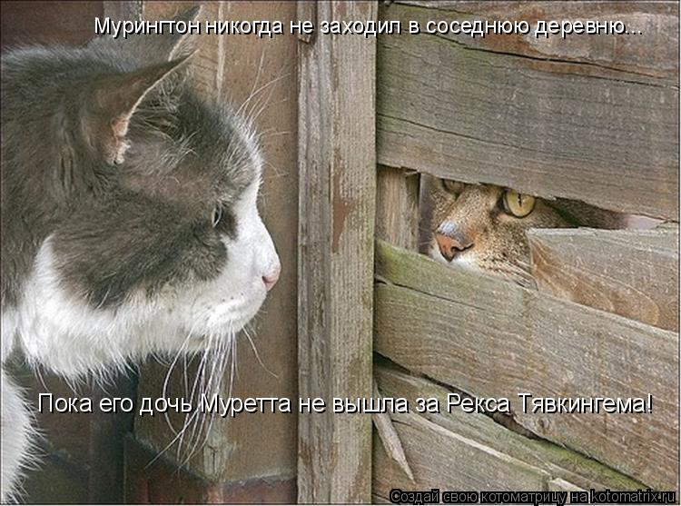 Котоматрица: Мурингтон никогда не заходил в соседнюю деревню... Пока его дочь Муретта не вышла за Рекса Тявкингема!