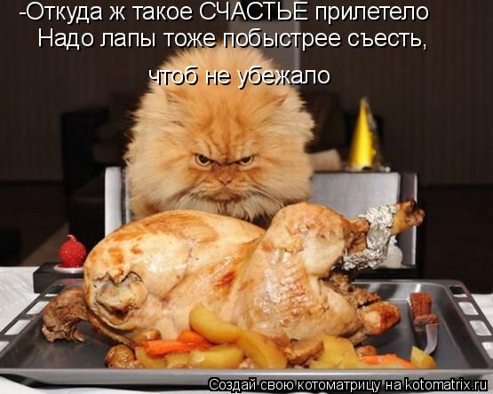 Котоматрица: -Откуда ж такое СЧАСТЬЕ прилетело Надо лапы тоже побыстрее съесть, чтоб не убежало