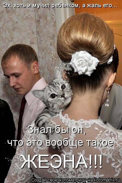 Котоматрица: Эх, хоть и мучил ребёнком, а жаль его... Знал бы он, что это вообще такое  ЖЕЭНА!!!