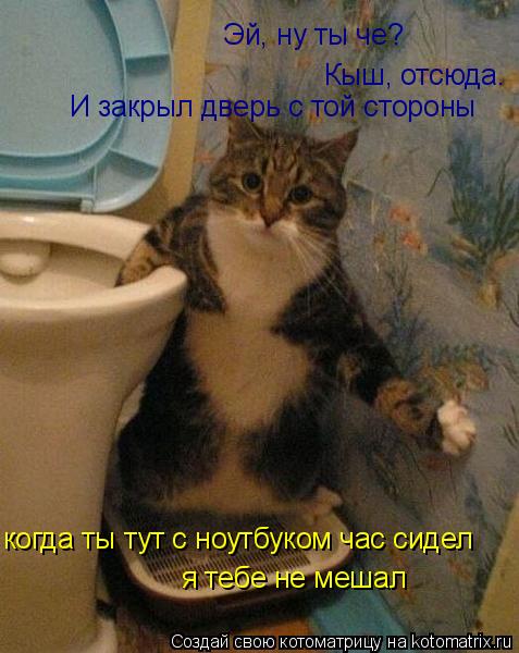 Котоматрица: Эй, ну ты че? Кыш, отсюда.  И закрыл дверь с той стороны когда ты тут с ноутбуком час сидел я тебе не мешал