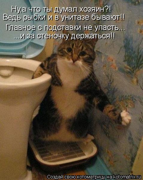 Котоматрица: Ну,а что ты думал хозяин?! Ведь рыбки и в унитазе бывают!! Главное с подставки не упасть... ...и за стеночку держаться!!